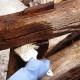 traitement bois extérieur